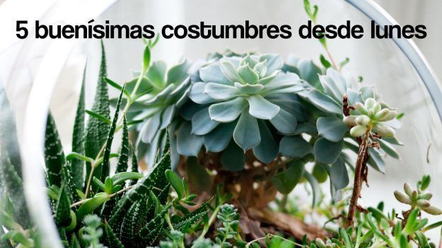 5 buenisimas costumbres desde lunes 5 buenisimas costumbres desde lunes