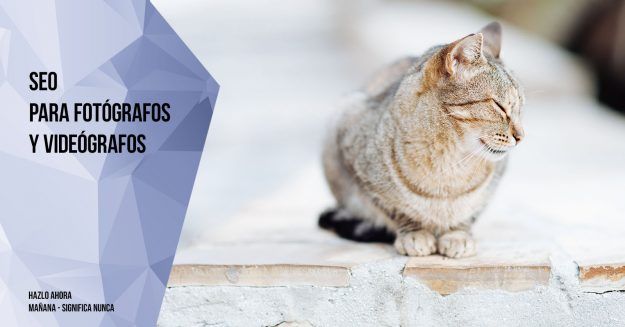 SEO para fotografos y videografos SEO para fotografos y videografos
